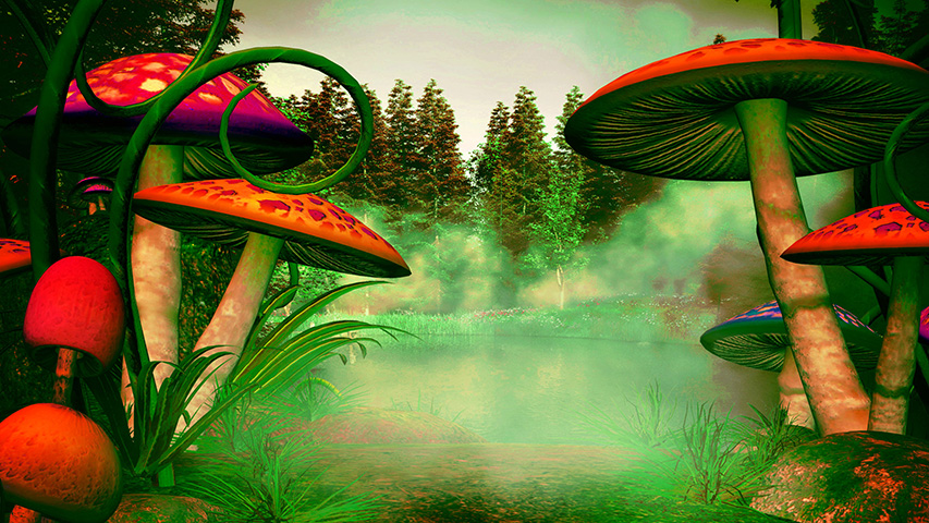 BACKDROP, Fantasy Toadstool 4.8m x 2.7m